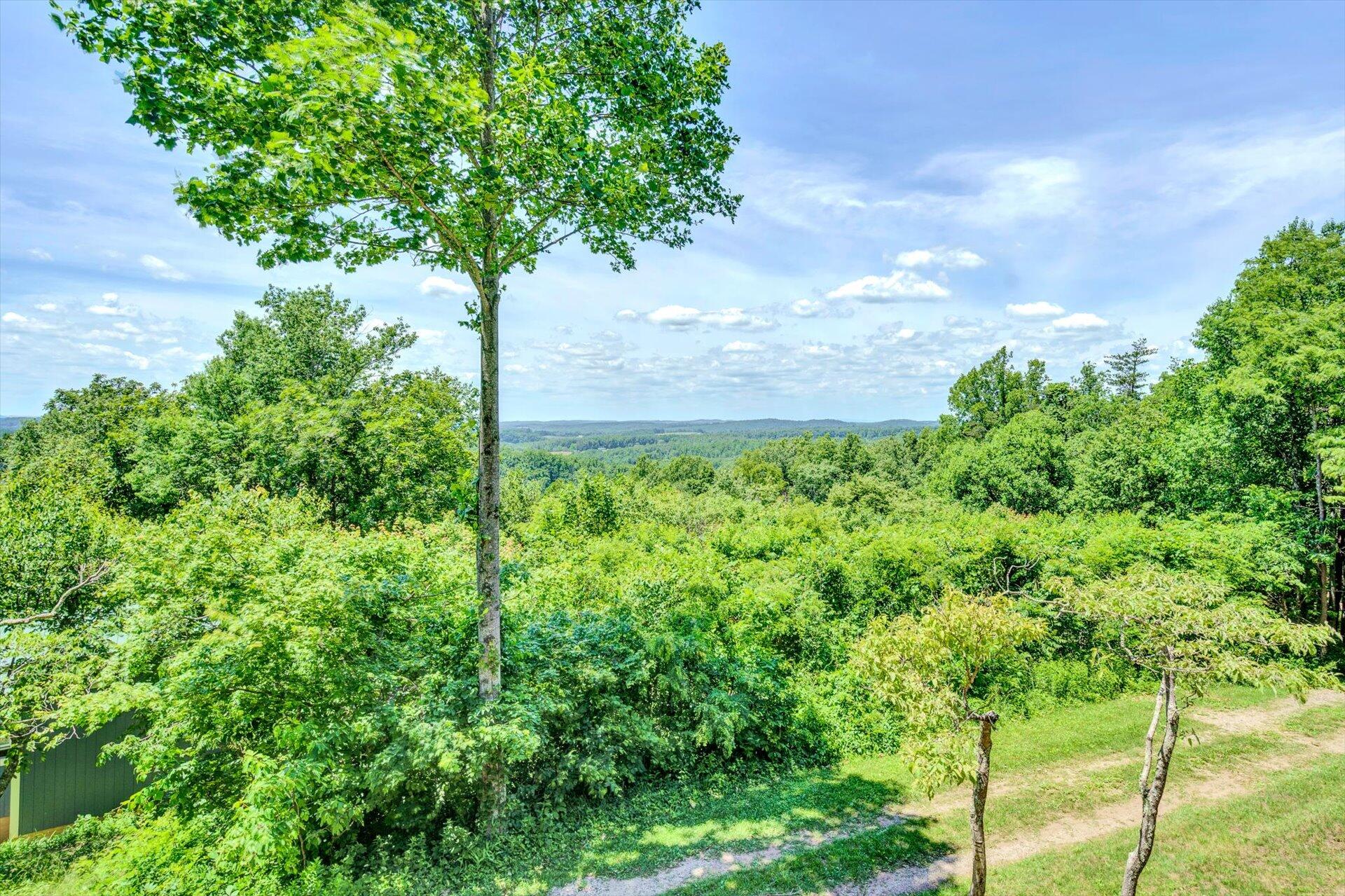 2005 Walnut Knob Road Southeast Floyd, VA 24091 - Photo 48 of 71 46-061820210093