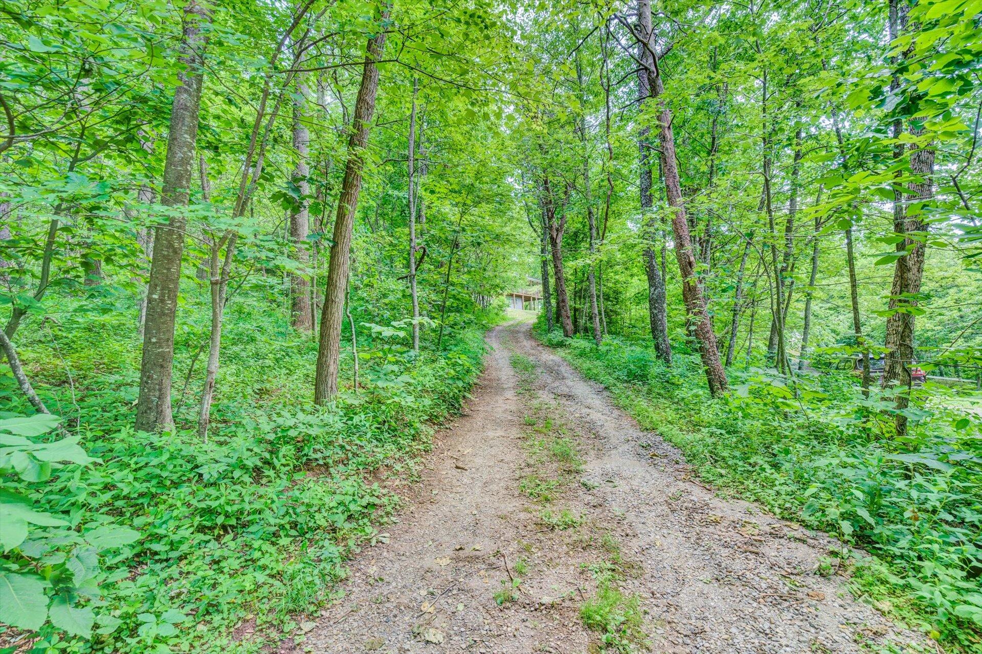 2005 Walnut Knob Road Southeast Floyd, VA 24091 - Photo 67 of 71 65-061820210117
