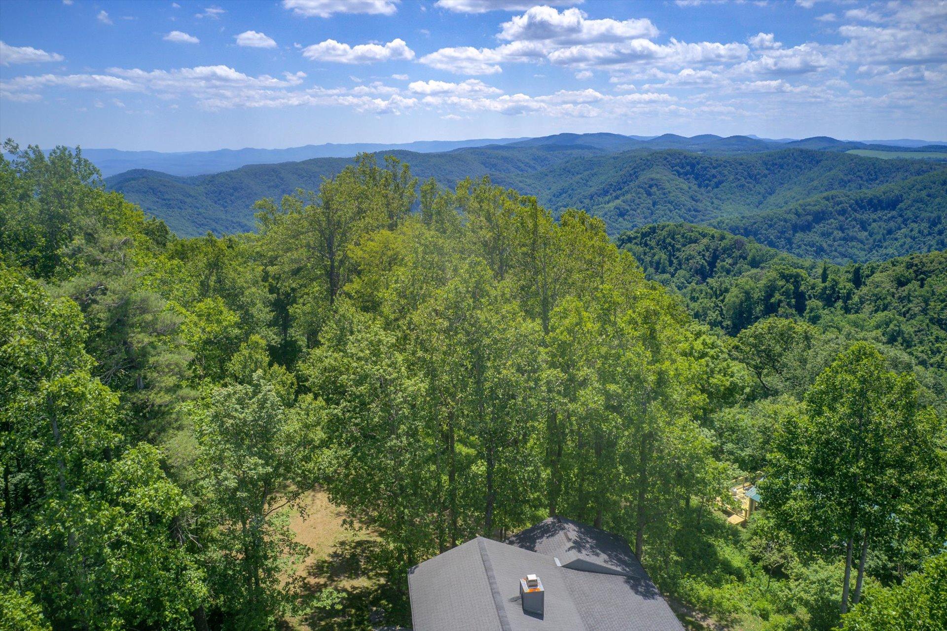 2005 Walnut Knob Road Southeast Floyd, VA 24091 - Photo 70 of 71 a view of a city with lush green forest