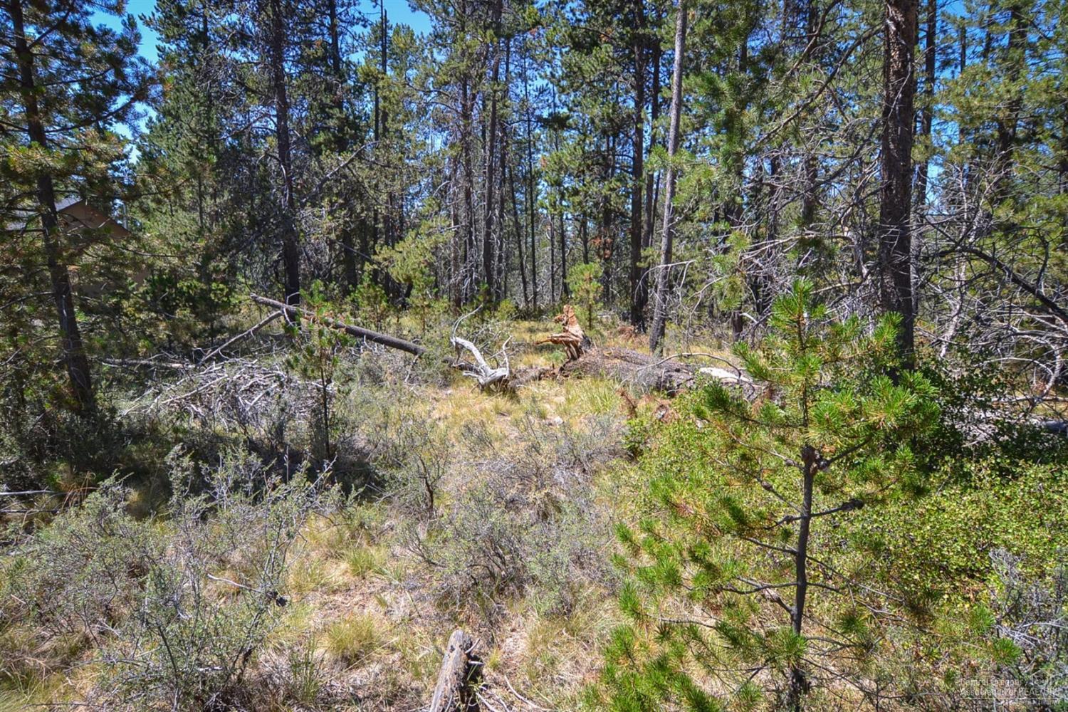55805 Snow Goose Road Bend, OR 97707 - Photo 2 of 14 Additional Photo