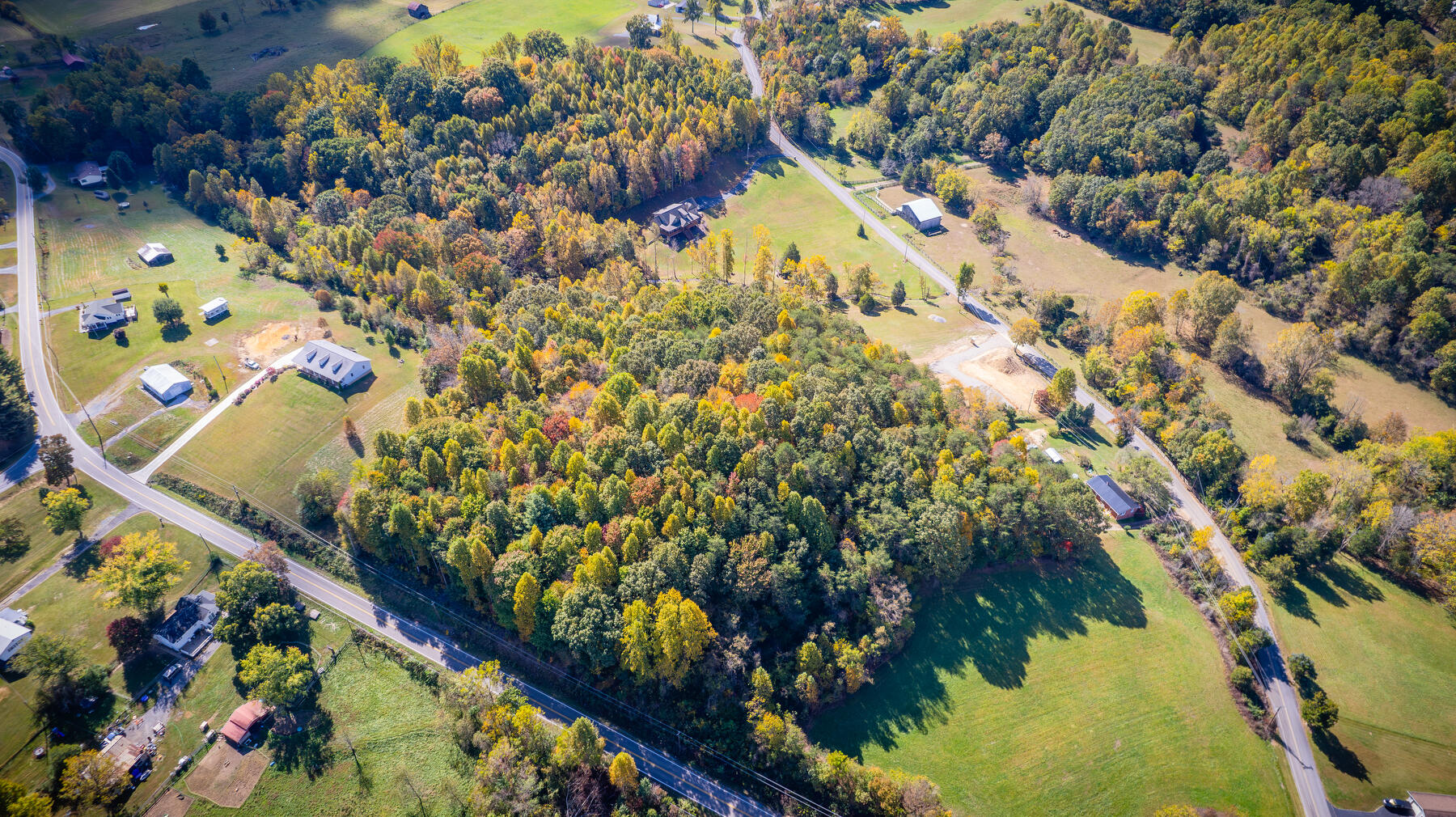 Tbd Branch Road Fall Branch, TN 37656 - Photo 10 of 14 110