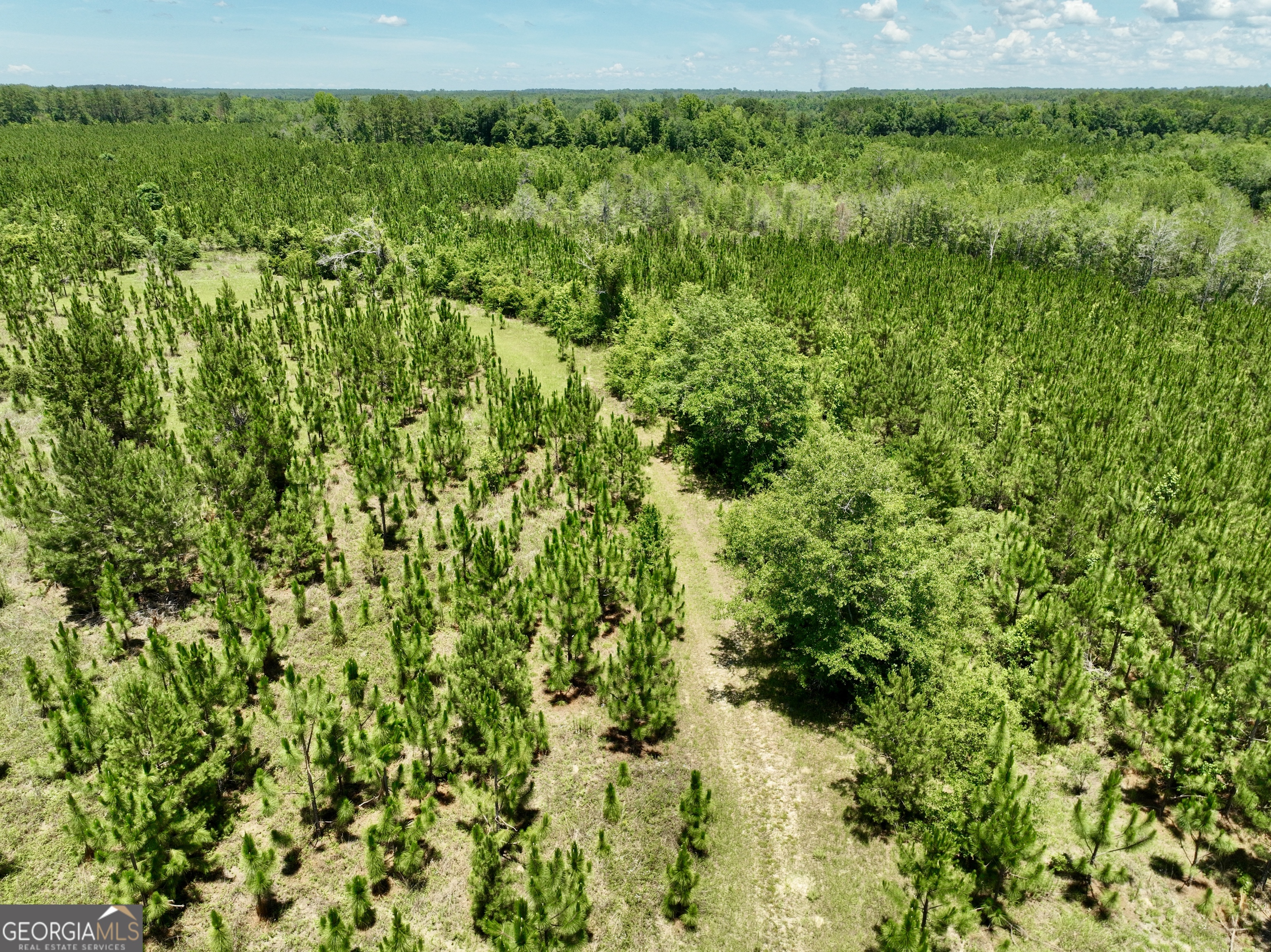 0 West River Road Rhine, GA 31077 - Photo 20 of 31