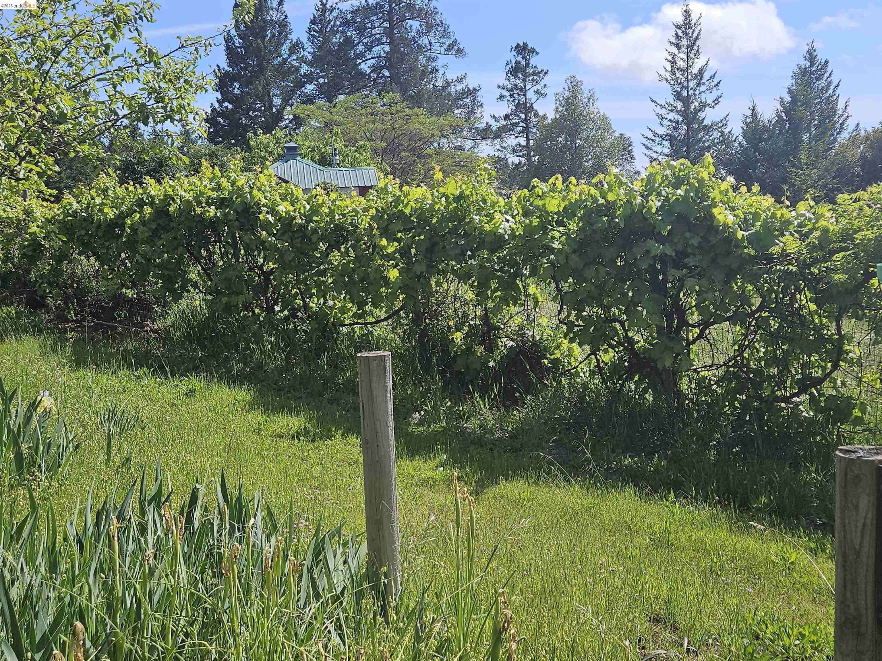 49100 Wickersham Road Geyserville, CA 95441 - Photo 49 of 76