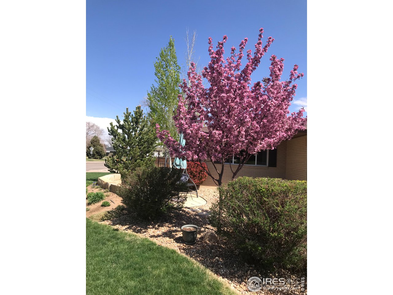 2127 14th Street Road Greeley, CO 80631 - Photo 4 of 36 Front yard of private patio area