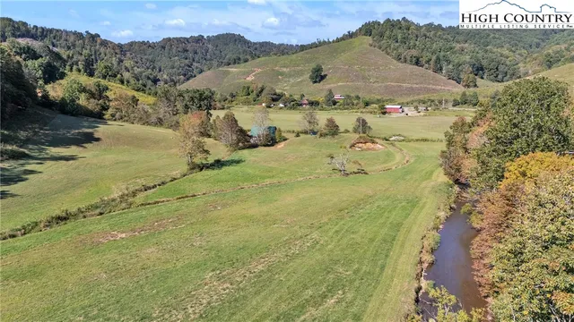 a view of a yard with an trees
