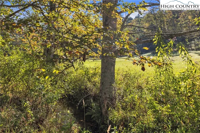 $385,000 | 1946 River Breeze Drive, Creston, NC 28615