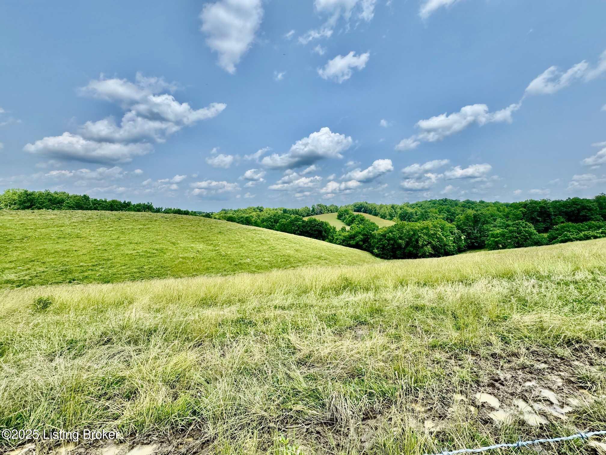 3650 Baker Ridge Road Willisburg, KY 40078 - Photo 4 of 6 IMG_2947