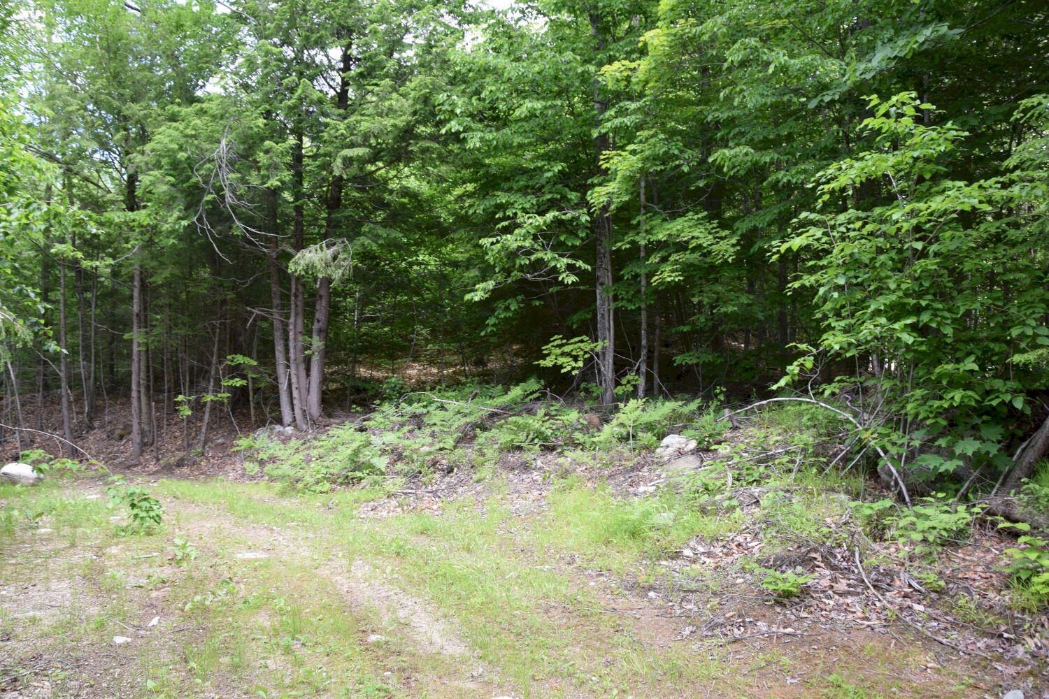 M13-l44 Valley Road Raymond, ME 04071 - Photo 12 of 20 DSC_0002