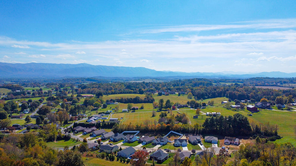 517 Villa Lane Greeneville, TN 37745 - Photo 36 of 38 DJI_0653