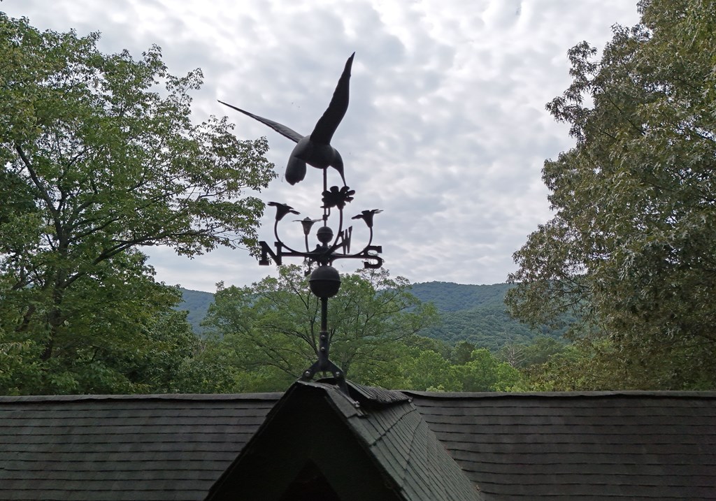 1335 Willard Mountain Road Blue Ridge, GA 30513 - Photo 57 of 68 Gallery Image 57