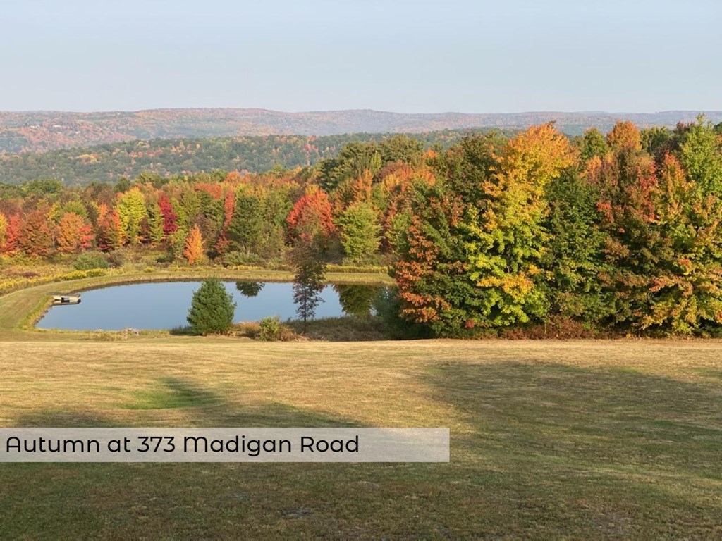 373 Madigan Road Barton, NY 14892 - Photo 41 of 45 Gallery Image 41