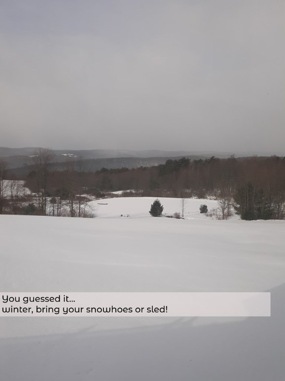 373 Madigan Road Barton, NY 14892 - Photo 42 of 45 Gallery Image 42