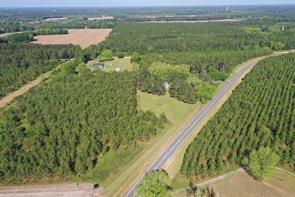 17862 State Rte 188 Coolidge, GA 31738 - Photo 2 of 72 Facing West on Hwy 188.
