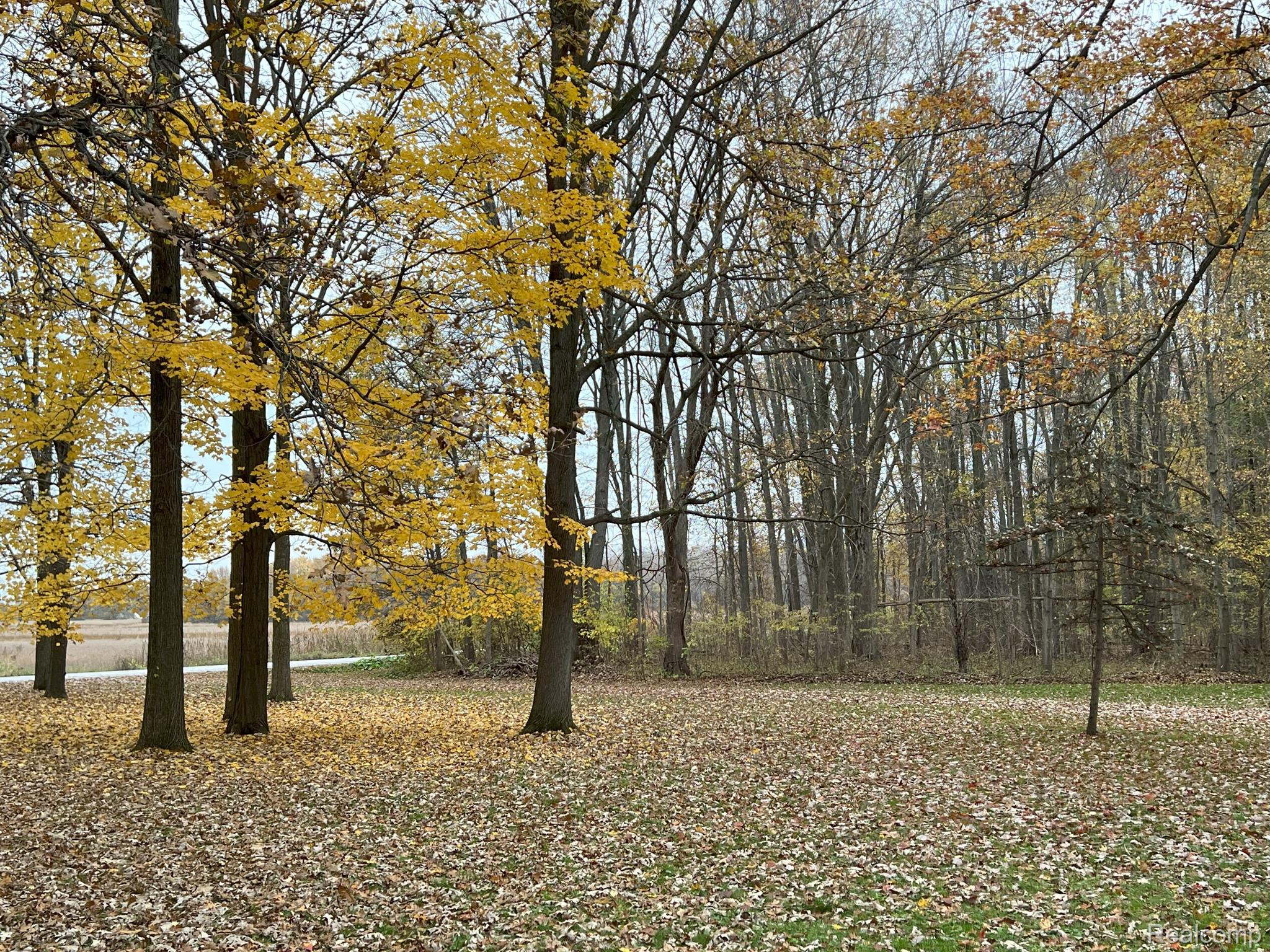 16255 Hough Road Allenton, MI 48002 - Photo 6 of 18 Property view from house toward road