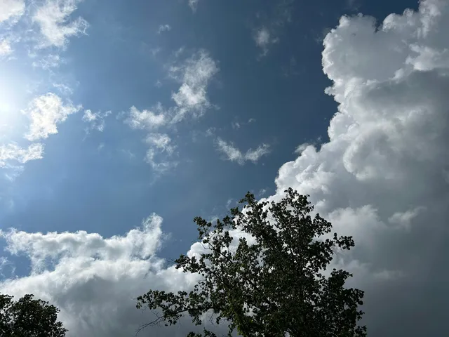 $265,000 | 464 Moonlight Lane, Unit JF440, Jasper, TN 37347