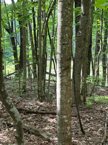 $265,000 | 464 Moonlight Lane, Unit JF440, Jasper, TN 37347