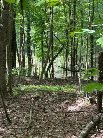 $265,000 | 464 Moonlight Lane, Unit JF440, Jasper, TN 37347