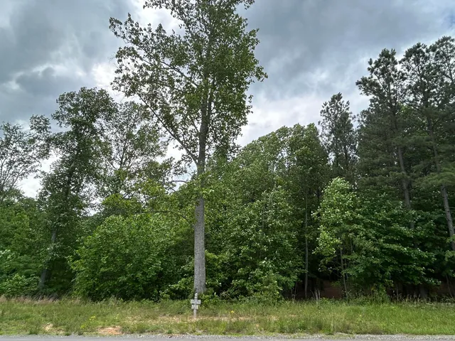 $265,000 | 464 Moonlight Lane, Unit JF440, Jasper, TN 37347