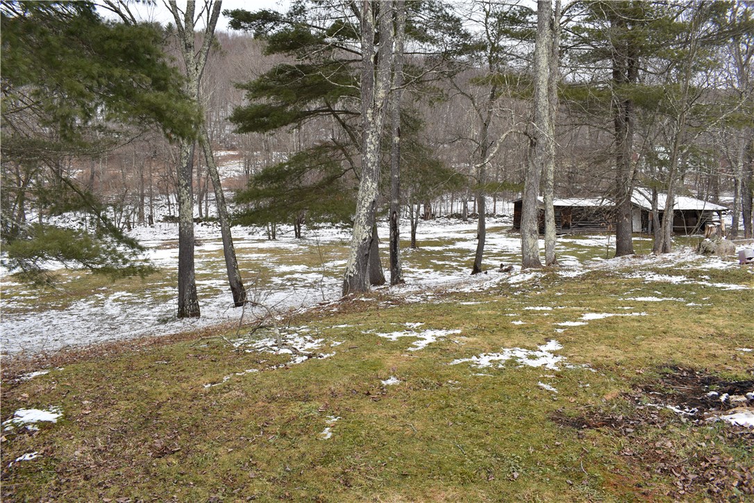 181 Streeter Hill Road Harpersfield, NY 12093 - Photo 5 of 22