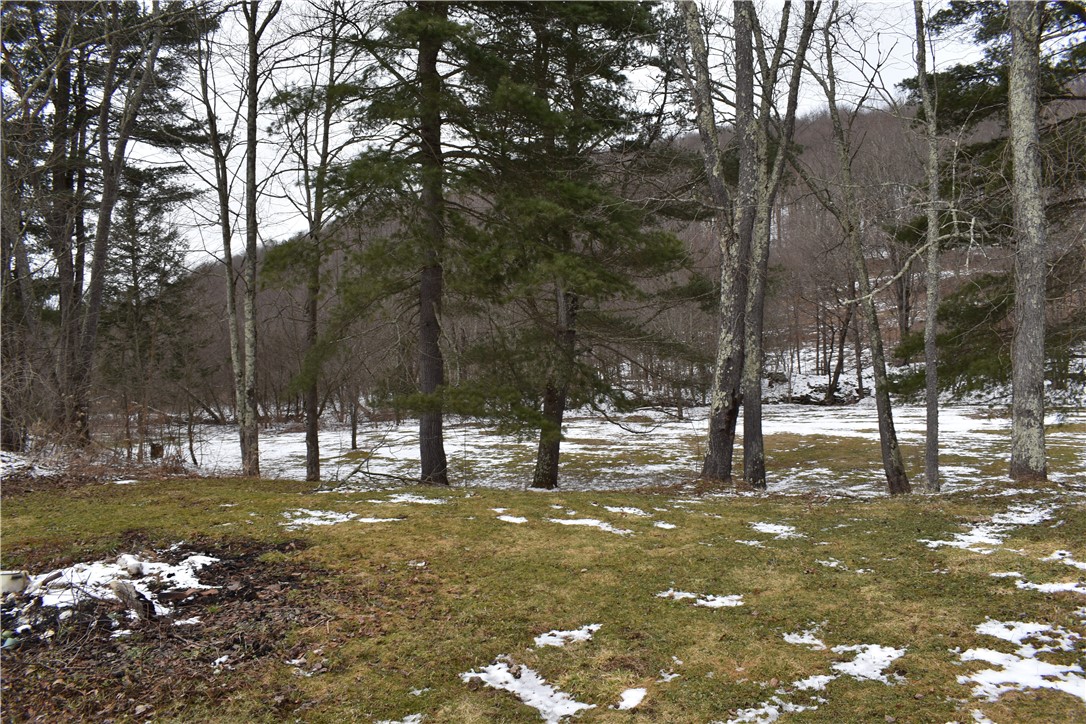 181 Streeter Hill Road Harpersfield, NY 12093 - Photo 6 of 22