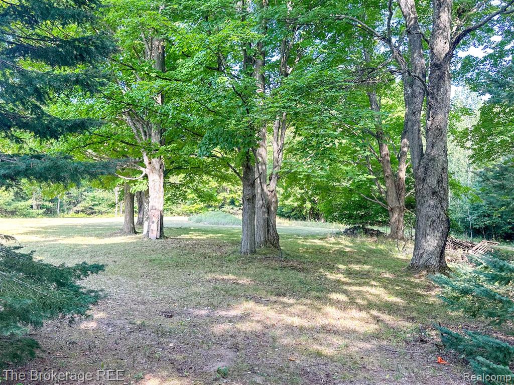 8020 Osmun Road Afton, MI 49705 - Photo 46 of 49
