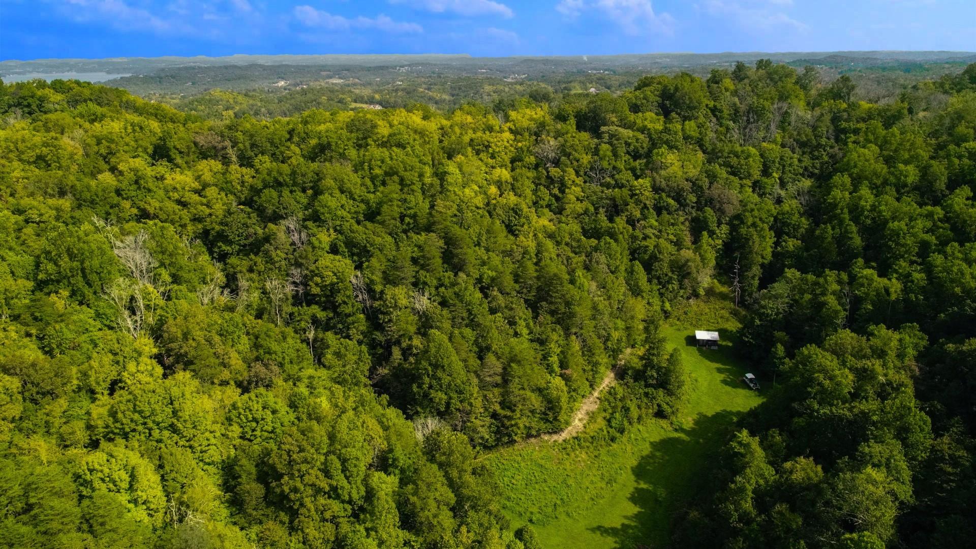 25-ac Lower Rinehart Road Dandridge, TN 37725 - Photo 11 of 27 DJI_0030ps