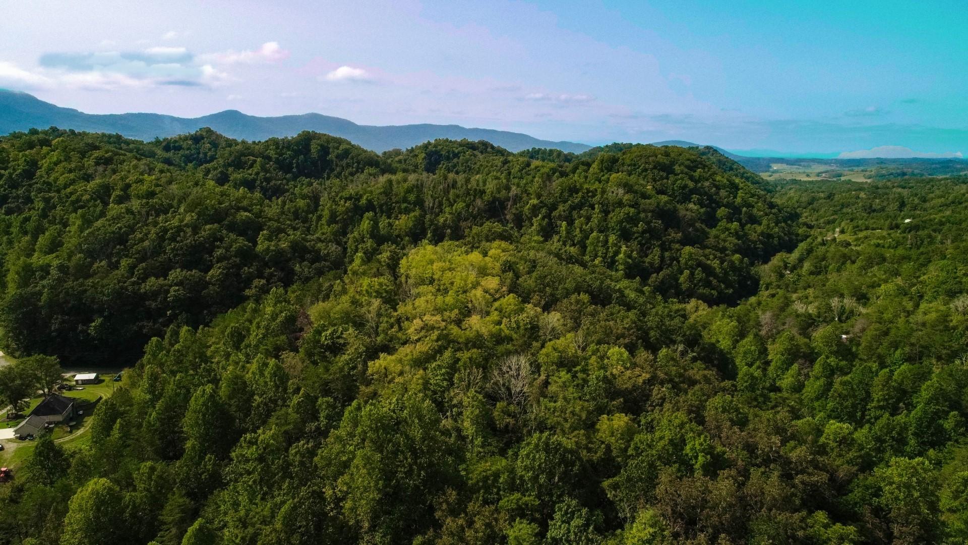 25-ac Lower Rinehart Road Dandridge, TN 37725 - Photo 12 of 27 DJI_0033ps