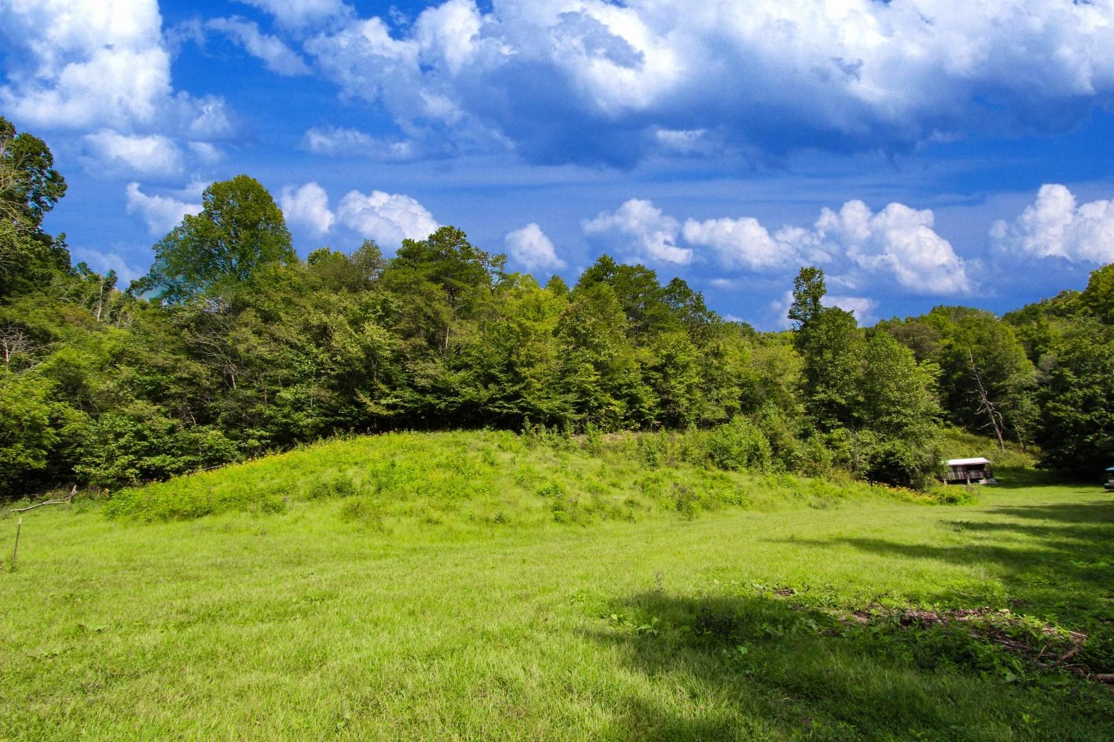 25-ac Lower Rinehart Road Dandridge, TN 37725 - Photo 27 of 27 IMG_5605ps