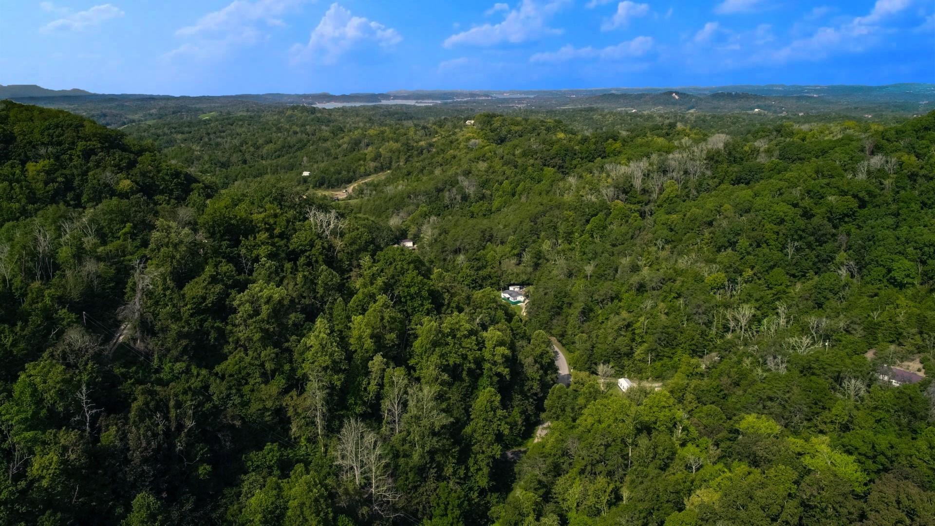 25-ac Lower Rinehart Road Dandridge, TN 37725 - Photo 7 of 27 DJI_0017ps