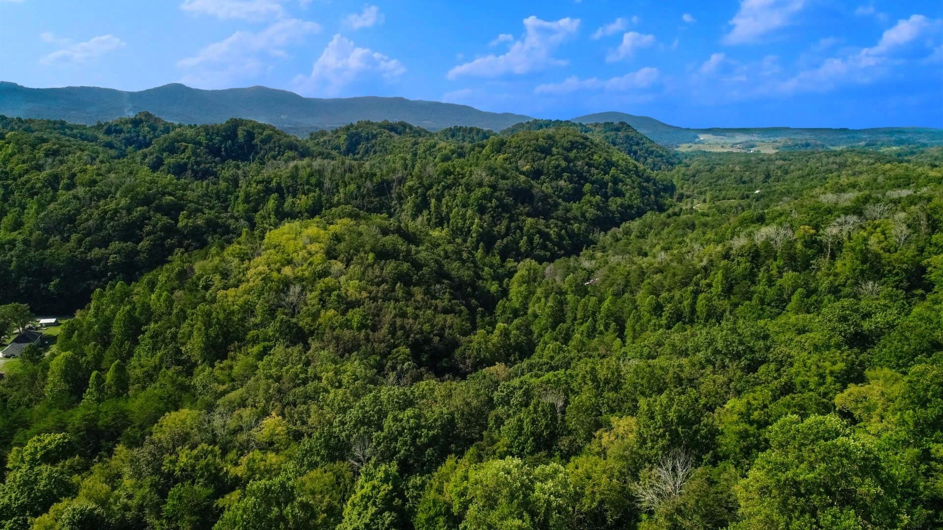 25-ac Lower Rinehart Road Dandridge, TN 37725 - Photo 8 of 27 DJI_0023ps
