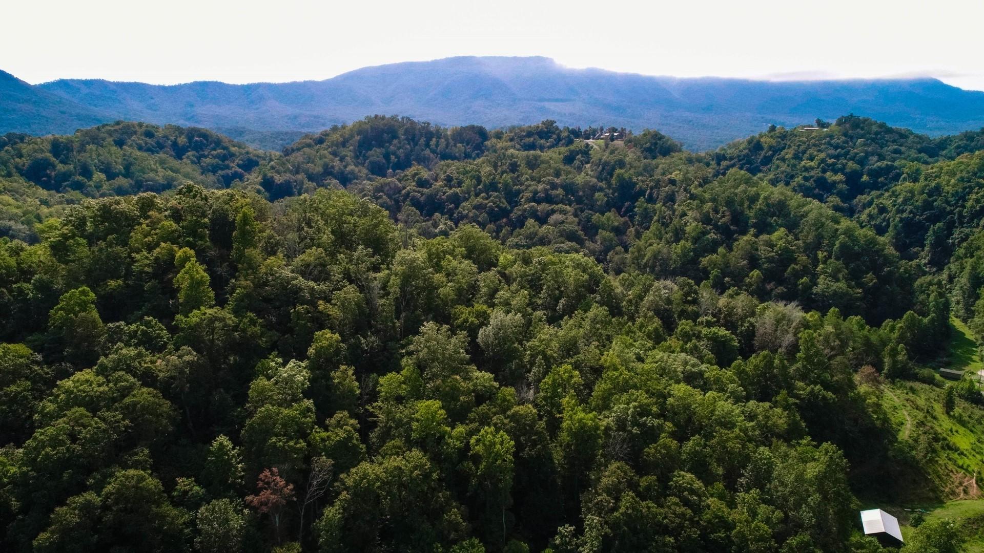 25-ac Lower Rinehart Road Dandridge, TN 37725 - Photo 9 of 27 DJI_0025