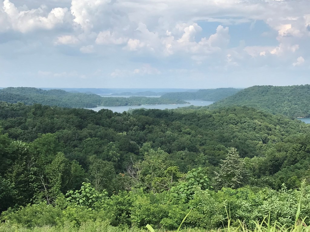 20 A Swan Ridge Road Allons, TN 38541 - Photo 11 of 13 Gallery Image 11