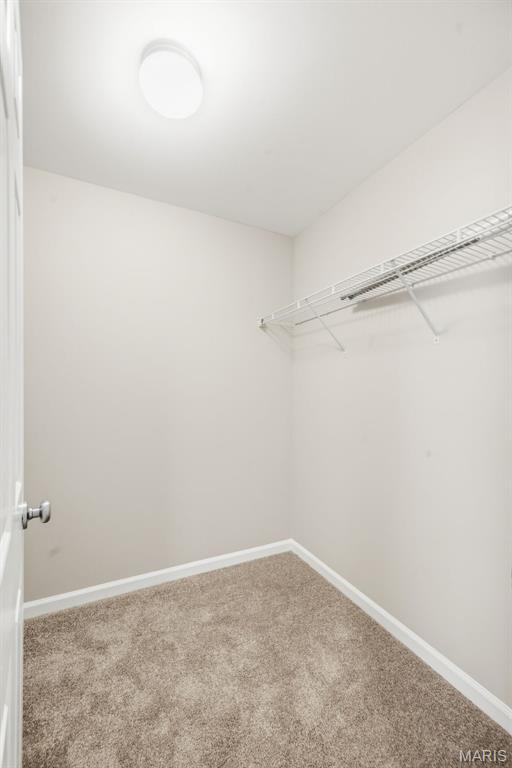 3105 Pathfinder Trail St. Charles, MO 63301 - Photo 20 of 29