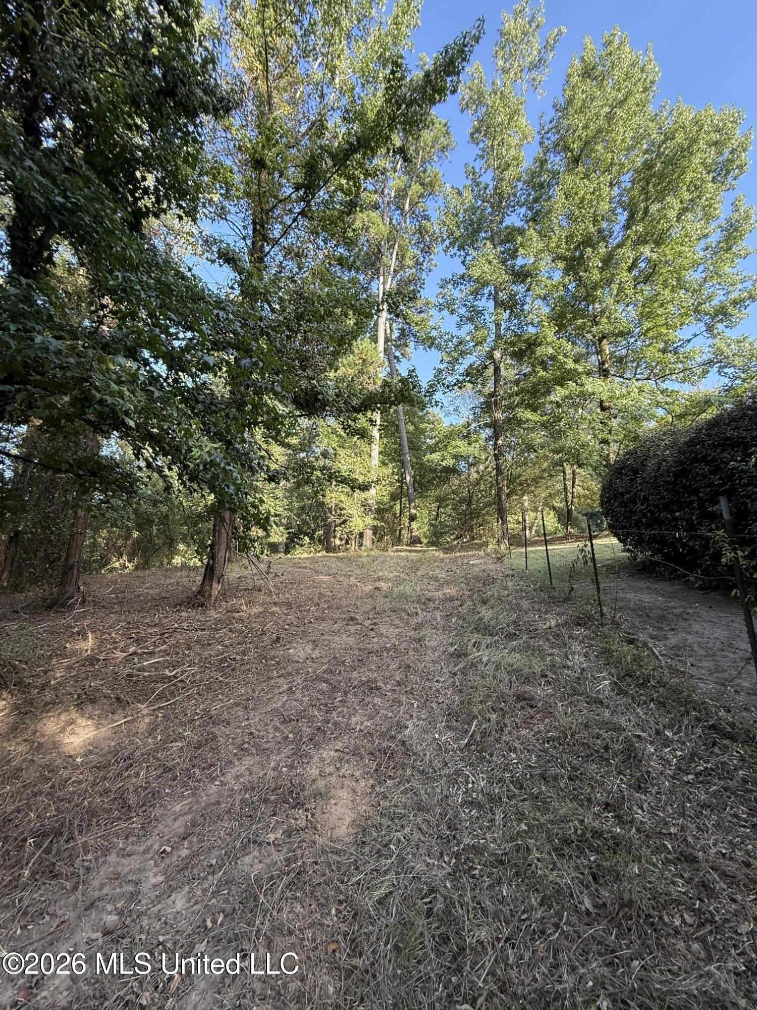 North Jordan Street Carthage, MS 39051 - Photo 21 of 33 IMG_1128