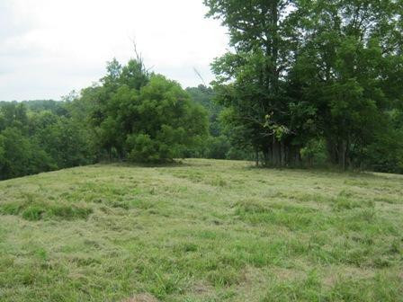 1354 Birdie Road Lawrenceburg, KY 40342 - Photo 34 of 55 Photo 34