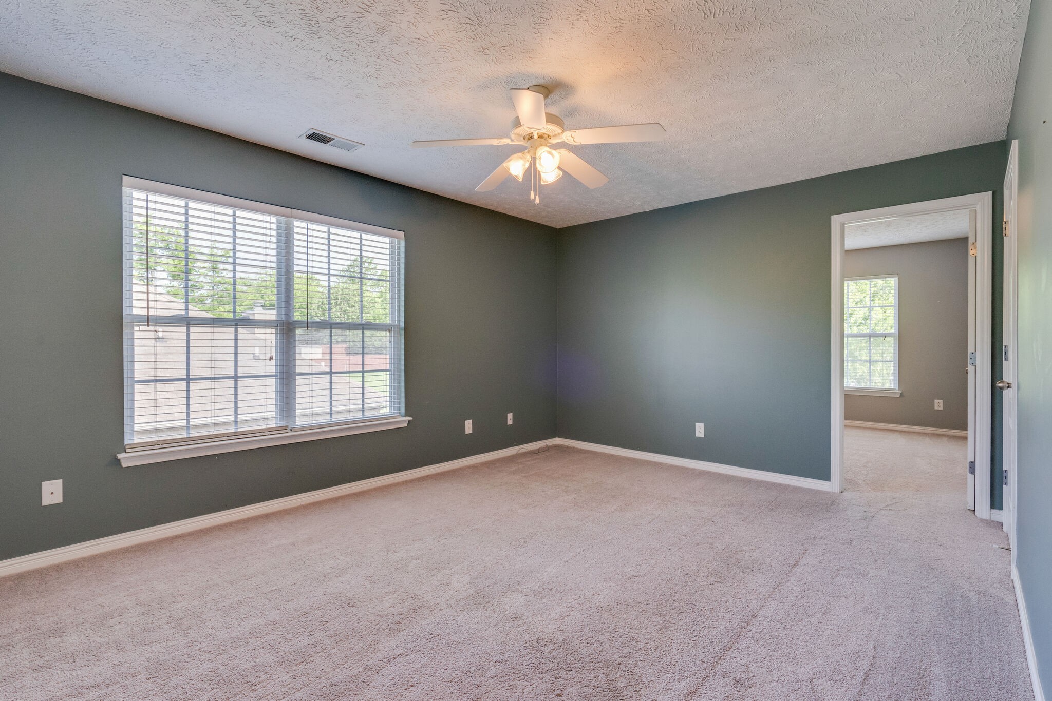306 Cherry Drive Franklin, TN 37064 - Photo 22 of 30 an empty room with chandelier fan and windows