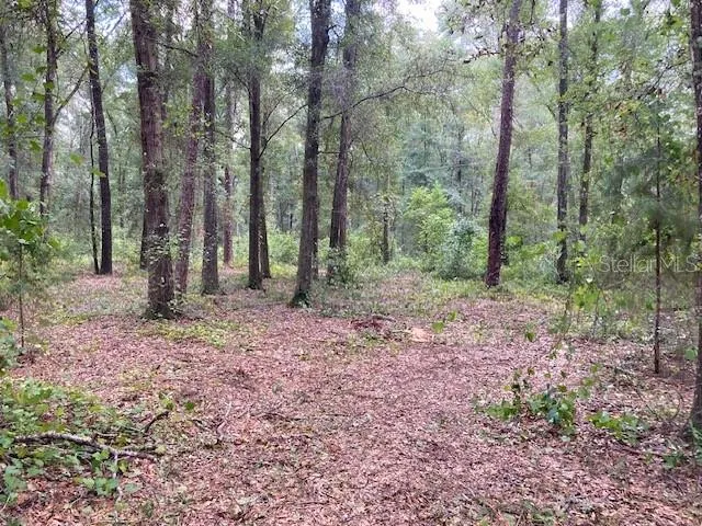 a view of outdoor space with green space