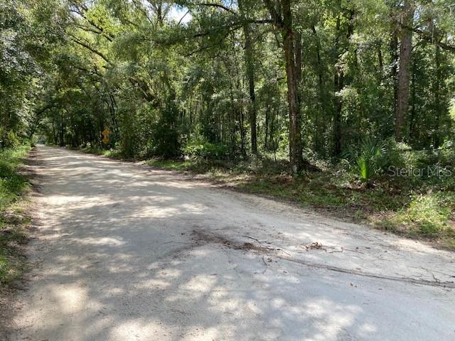 3 Southwest 170th Street Archer, FL 32618 - Photo 15 of 20 a view of a dirt road with trees in the background