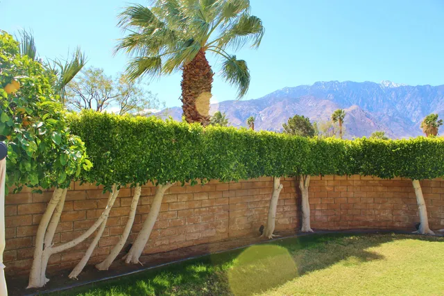 $3,800 | 1181 Sunflower Lane, Palm Springs, CA 92262