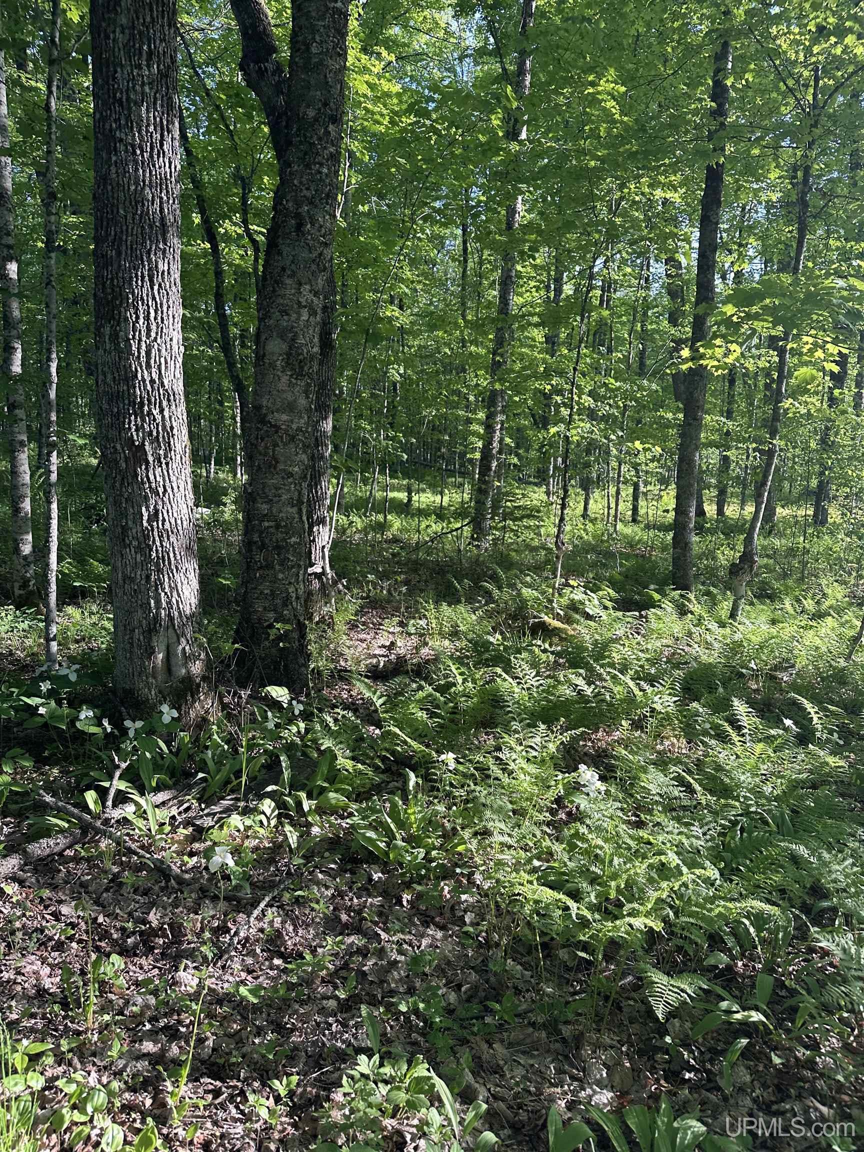 549 Sheltrow Road Crystal Falls, MI 49920 - Photo 20 of 35