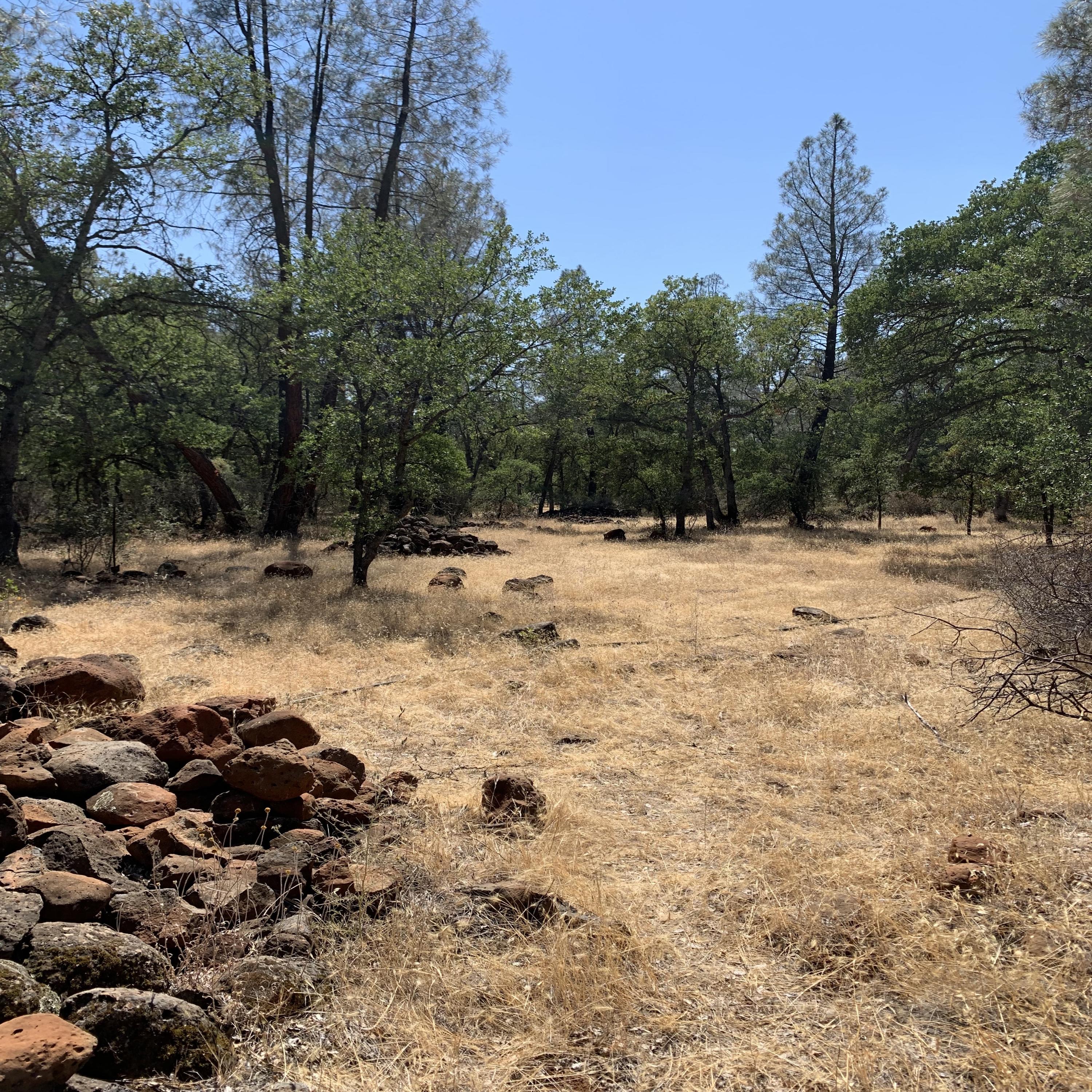 4 Scharsch Road Shingletown, CA 96088 - Photo 11 of 23 field