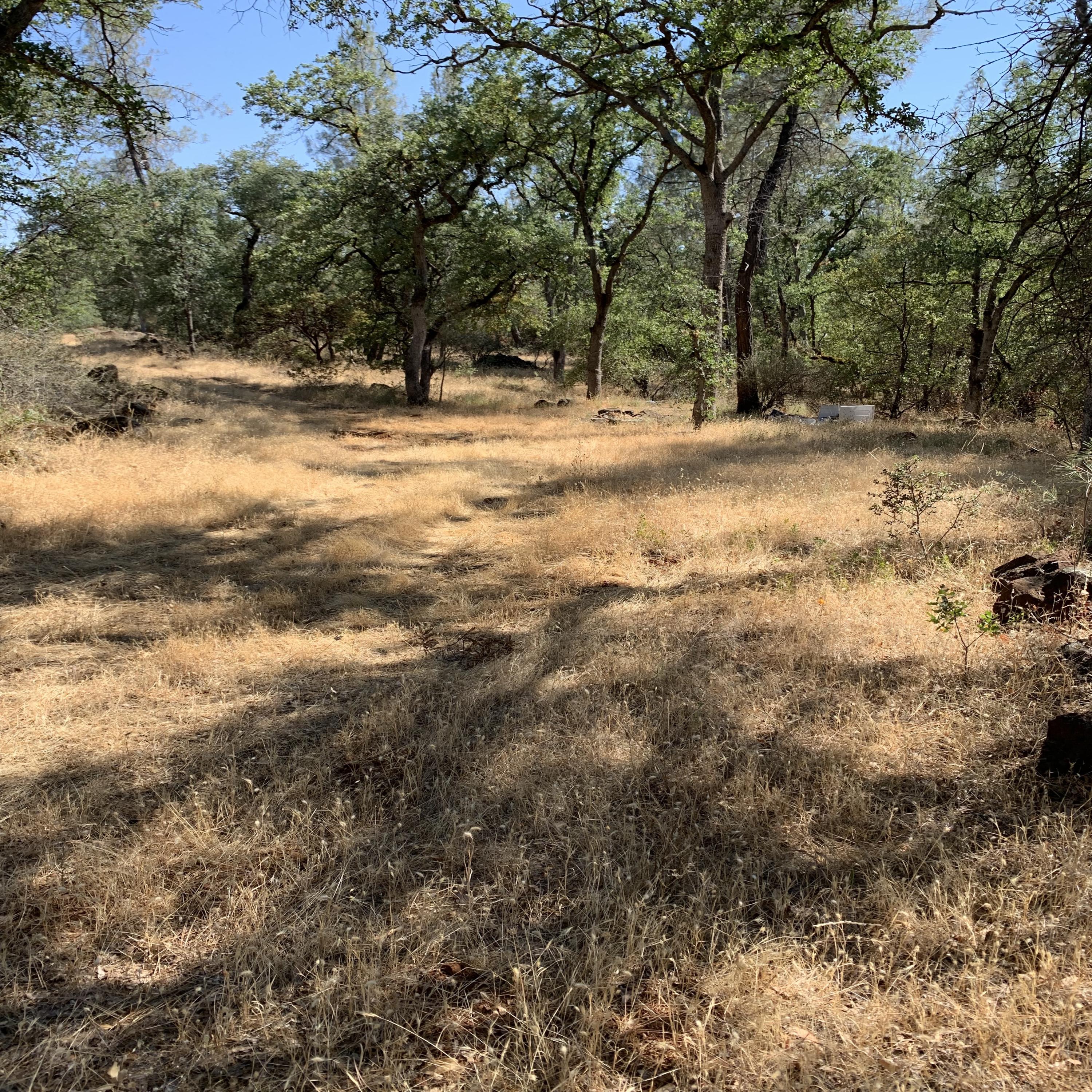 4 Scharsch Road Shingletown, CA 96088 - Photo 17 of 23 Property...