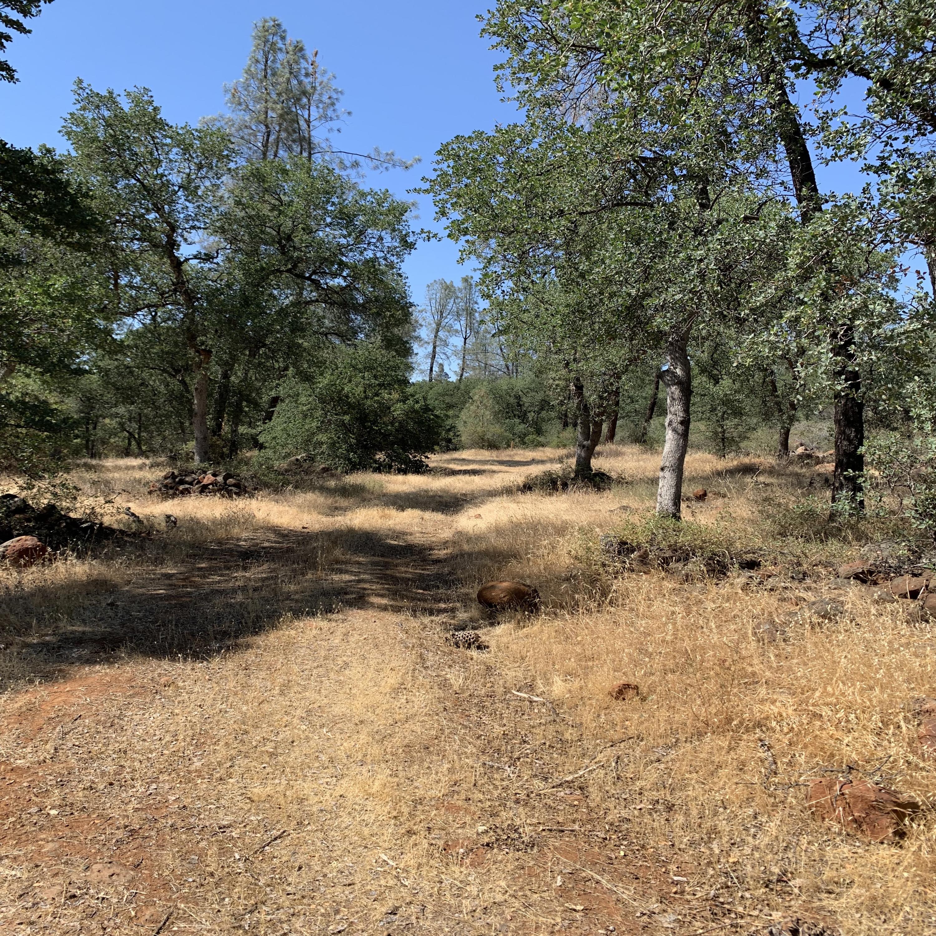 4 Scharsch Road Shingletown, CA 96088 - Photo 3 of 23 Road to possible campsite
