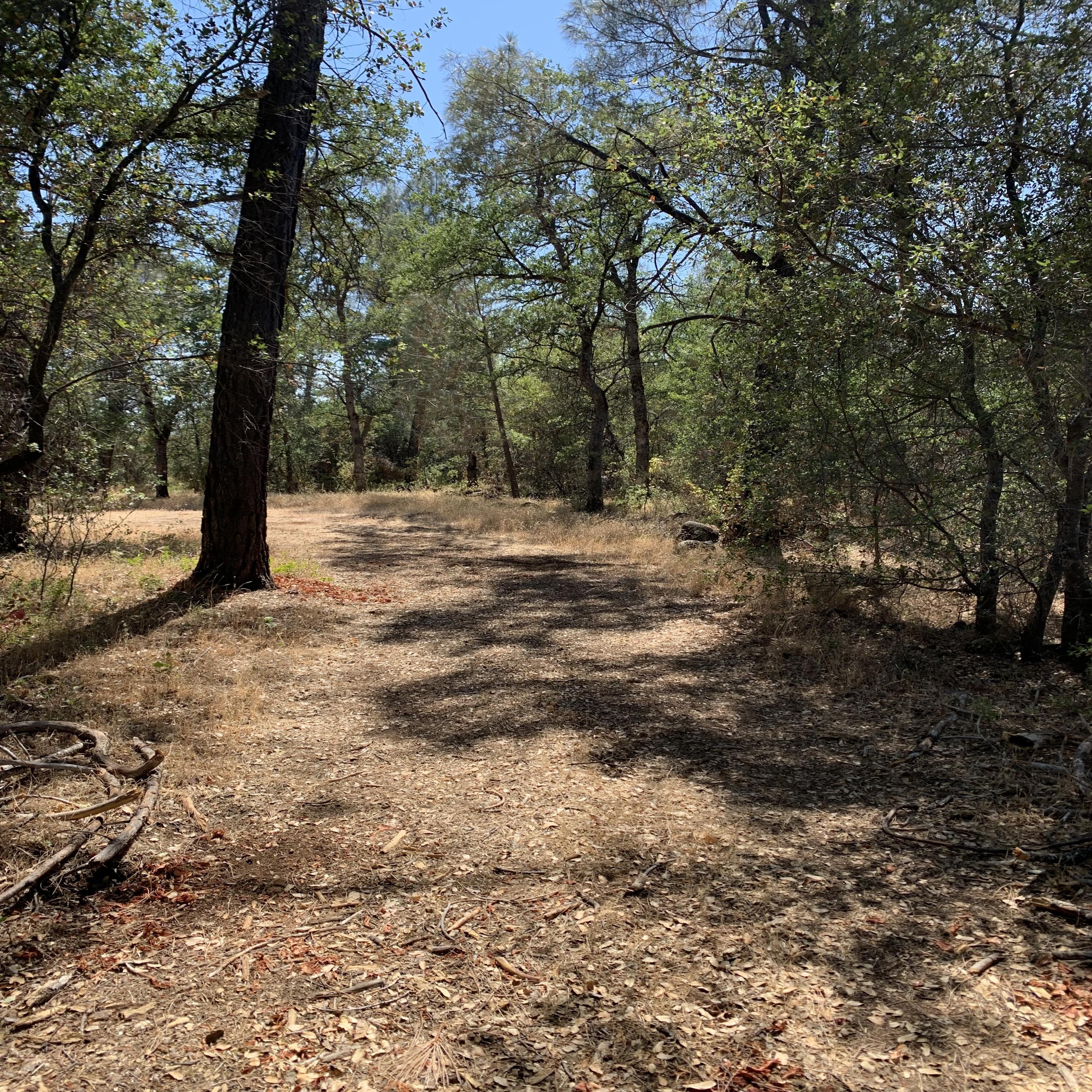 4 Scharsch Road Shingletown, CA 96088 - Photo 4 of 23 To meadow