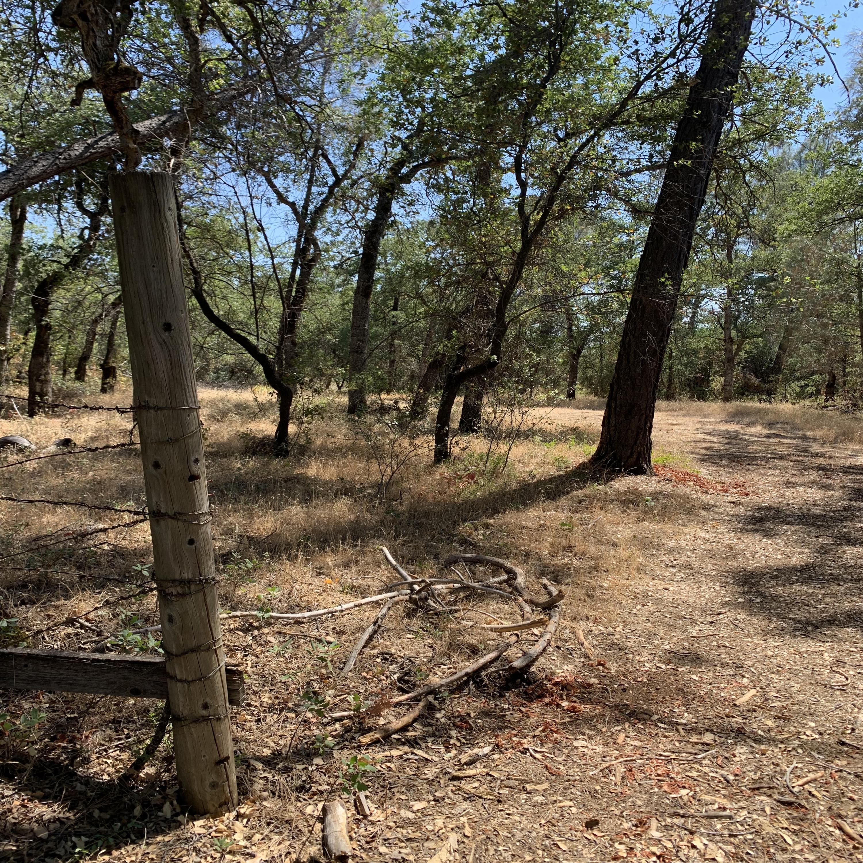 4 Scharsch Road Shingletown, CA 96088 - Photo 5 of 23 To Meadow .