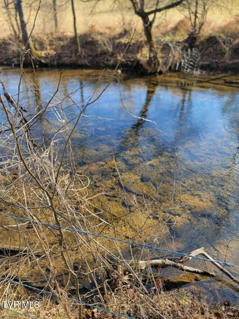 Tbd Hurricane Road Jonesville, VA 24263 - Photo 8 of 11 Creek