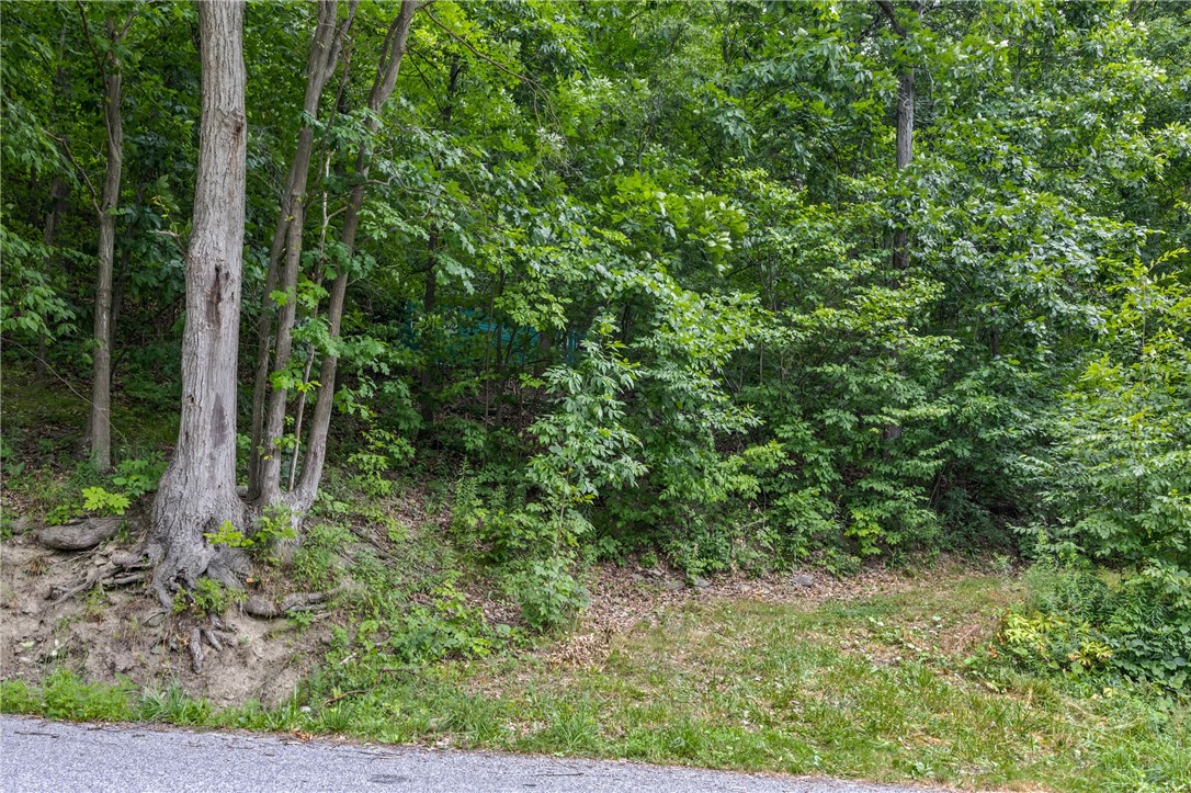 Dug Road Naples, NY 14512 - Photo 2 of 17