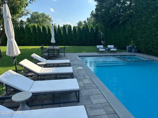 a view of a garden with plants