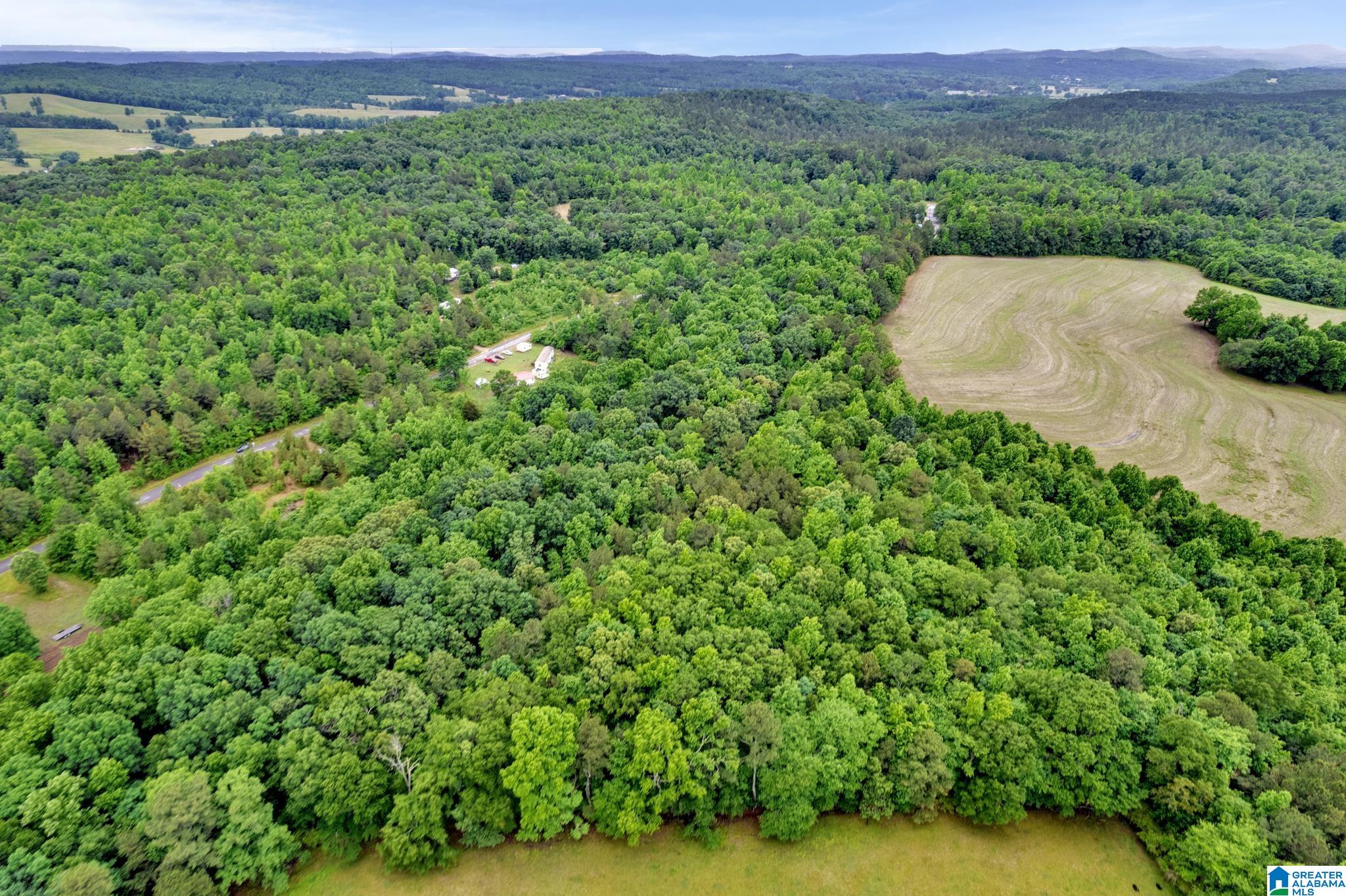 530 Mt Road Blountsville, AL 35031 - Photo 10 of 18