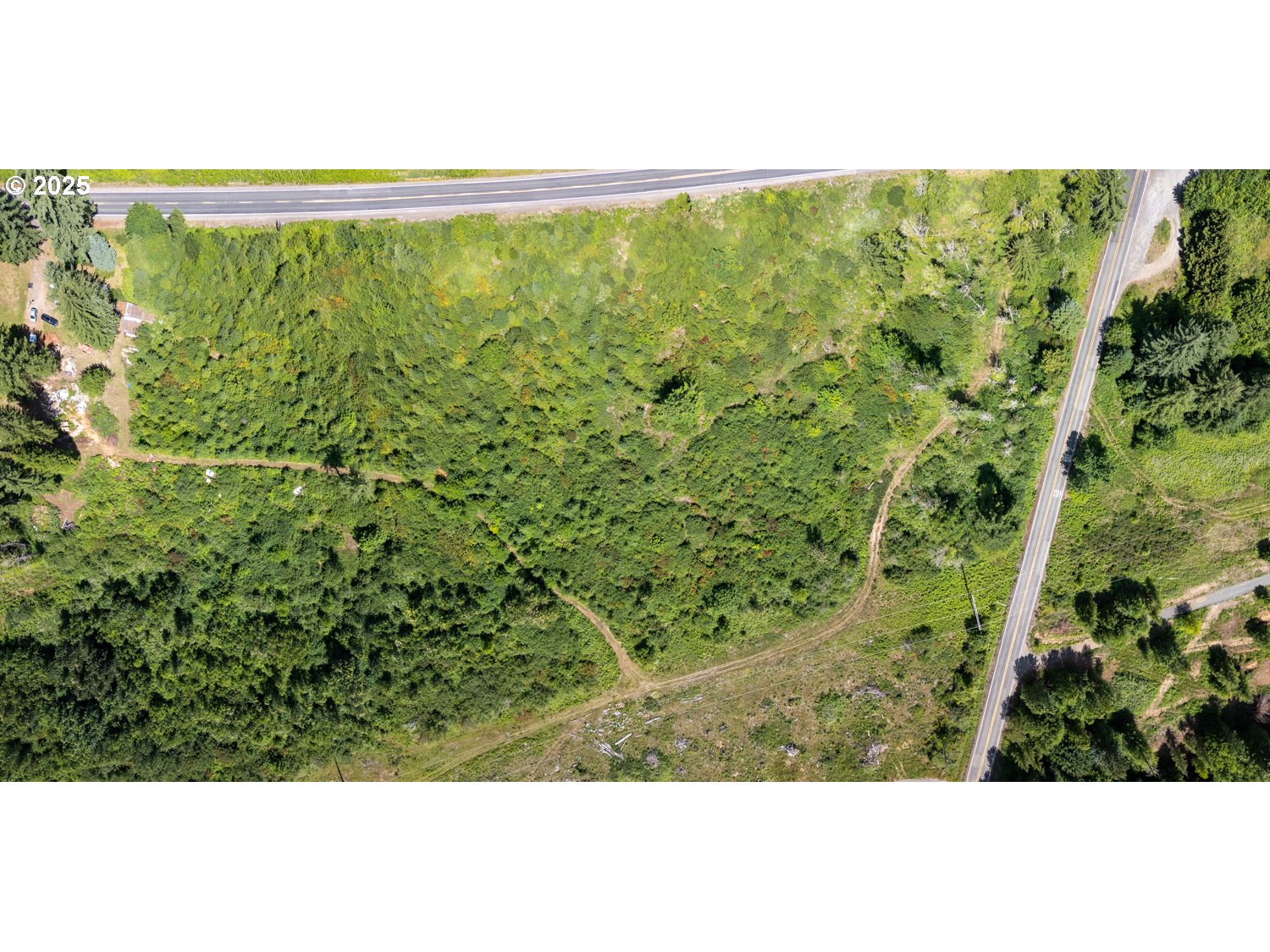 0 Lewis River Road Ariel, WA 98603 - Photo 11 of 11 a view of a green field with an outdoor space